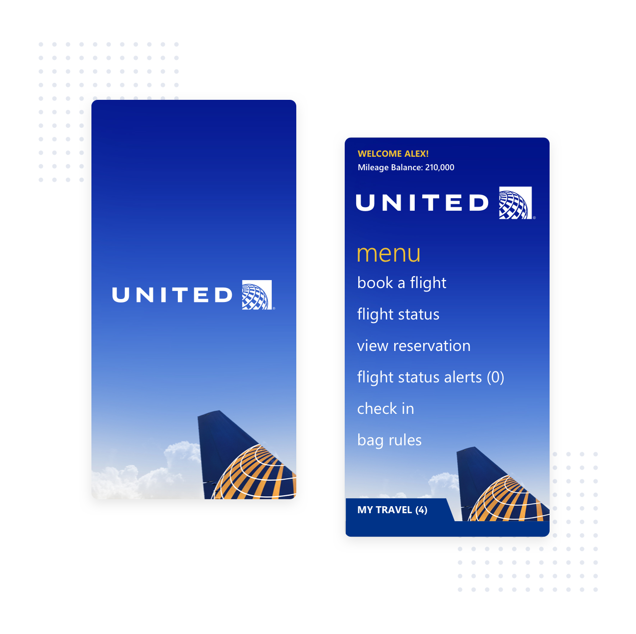 United Airlines project preview